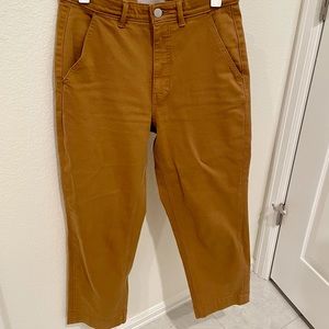 Everlane Straight Leg Pants